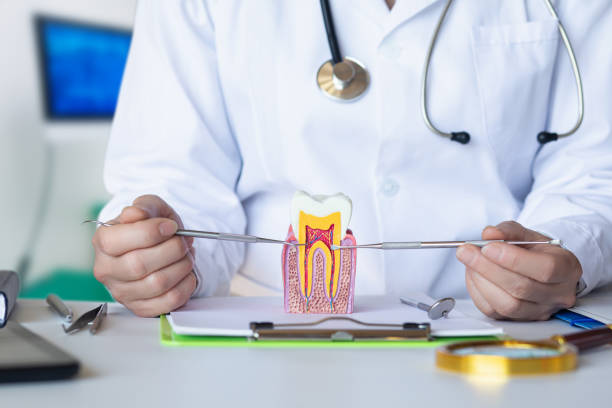 Best Emergency Root Canal Treatment in Lincoln Rk, PA
